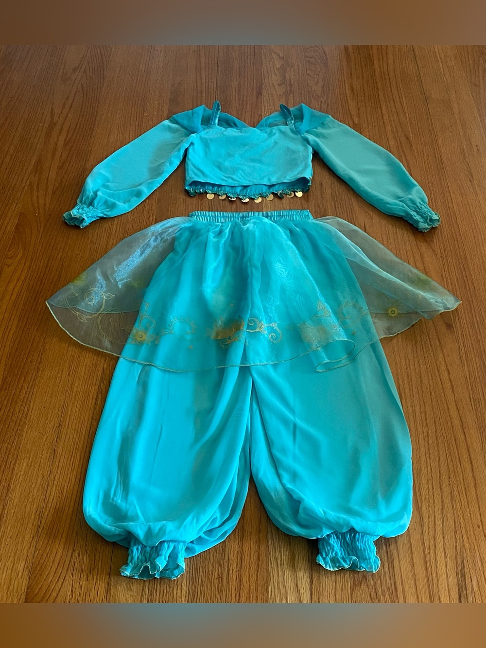 Disney Store Princess Jasmine Costume with Gold Accents - Picture 4 of 6